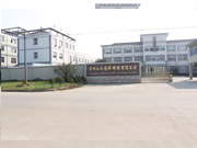 Enterprise appearance