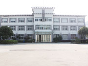 Enterprise appearance